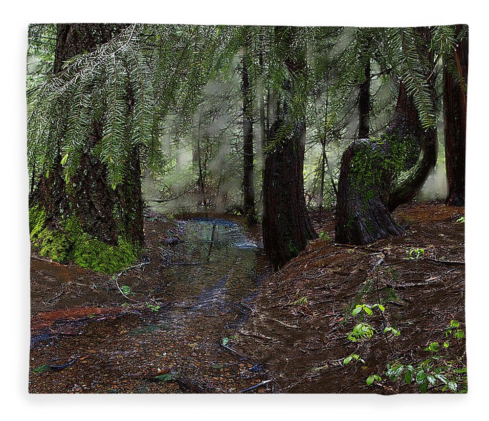 Headwaters Fleece Blanket featuring the digital art Deer Creek Headwaters at Skillman Horse Campground by Lisa Redfern