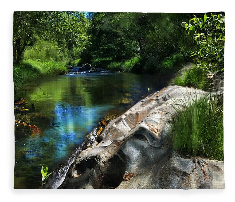 Stream Fleece Blanket featuring the digital art Deer Creek off Newtown Road by Lisa Redfern