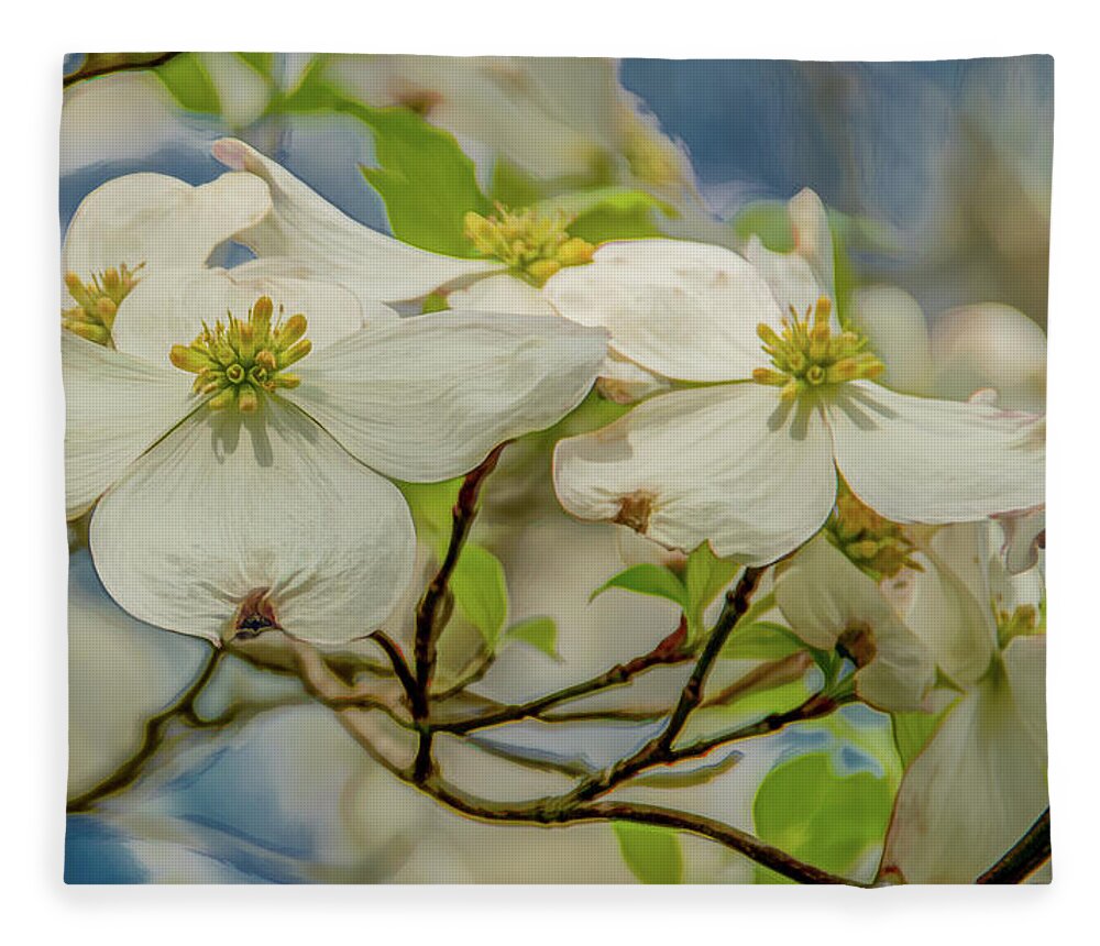 Dogwood Blossoms Fleece Blanket featuring the photograph Delicate Dogwoods by Marcy Wielfaert