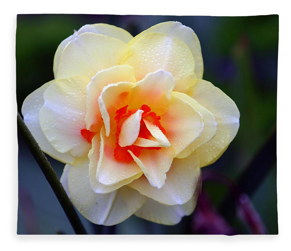 Flower Fleece Blanket featuring the photograph Delicate Flower by Anthony Jones