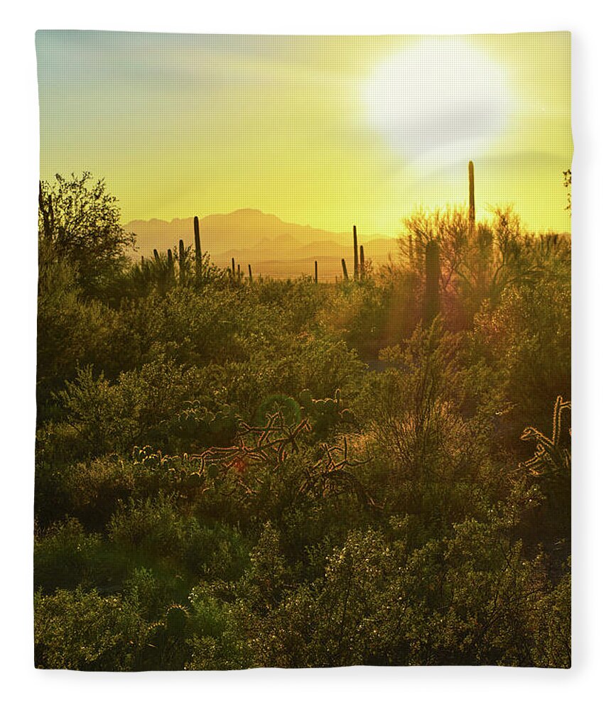 Arizona Fleece Blanket featuring the photograph Desert light by Chance Kafka