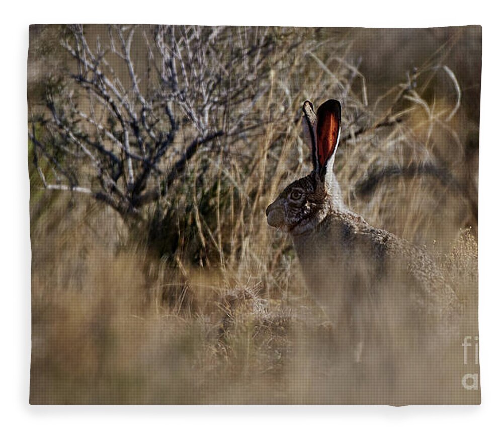 Desert Rabbit Fleece Blanket featuring the photograph Desert Rabbit by Robert WK Clark