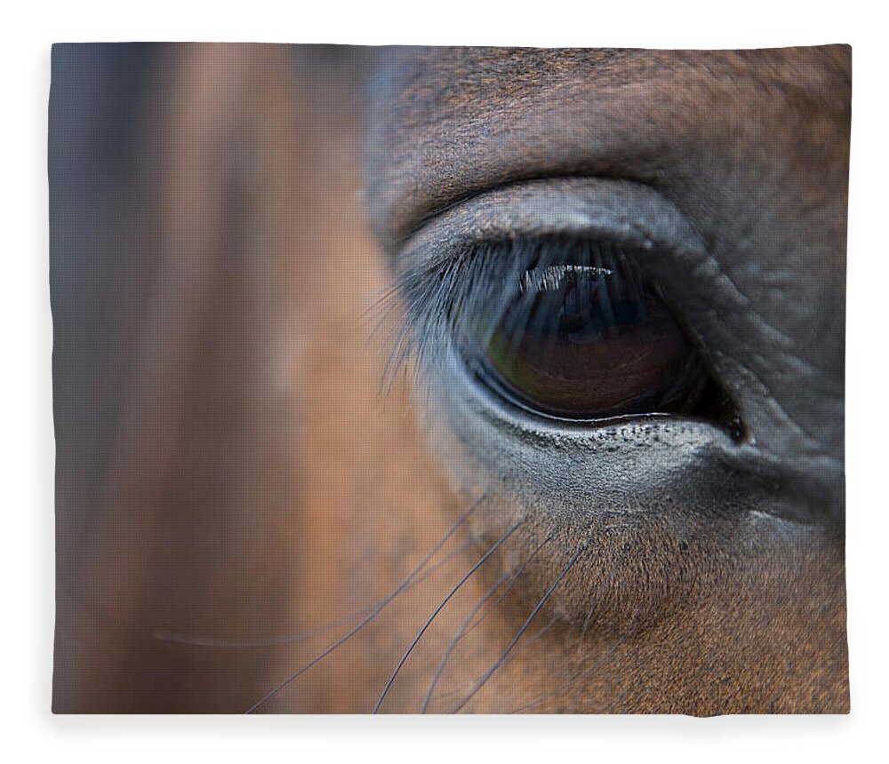 Horse Fleece Blanket featuring the photograph Detail Of Horses Face, Near Lough by Holger Leue