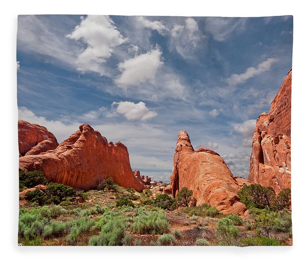 Arches National Park Fleece Blanket featuring the photograph Dinosaur Shaped Rock by Jeff Goulden