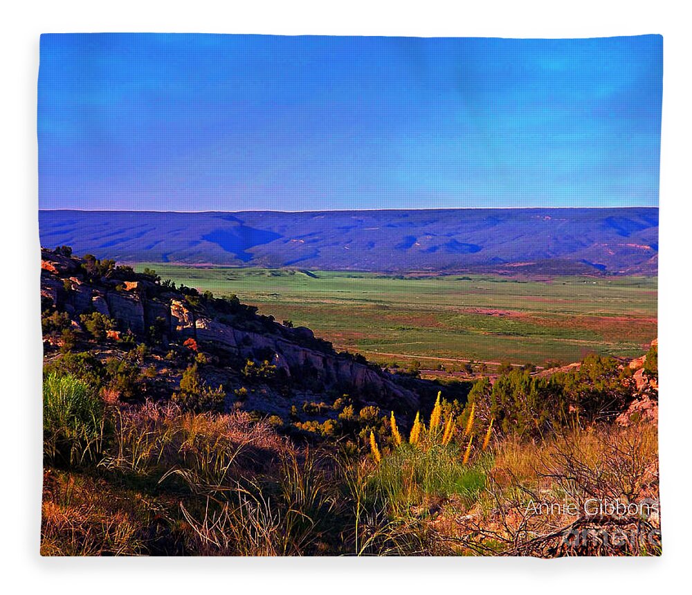 Disappointment Valley With Princely Plumes In The Foreground Fleece Blanket featuring the digital art Disappointment Valley seen from uplift rea on its northern border. by Annie Gibbons