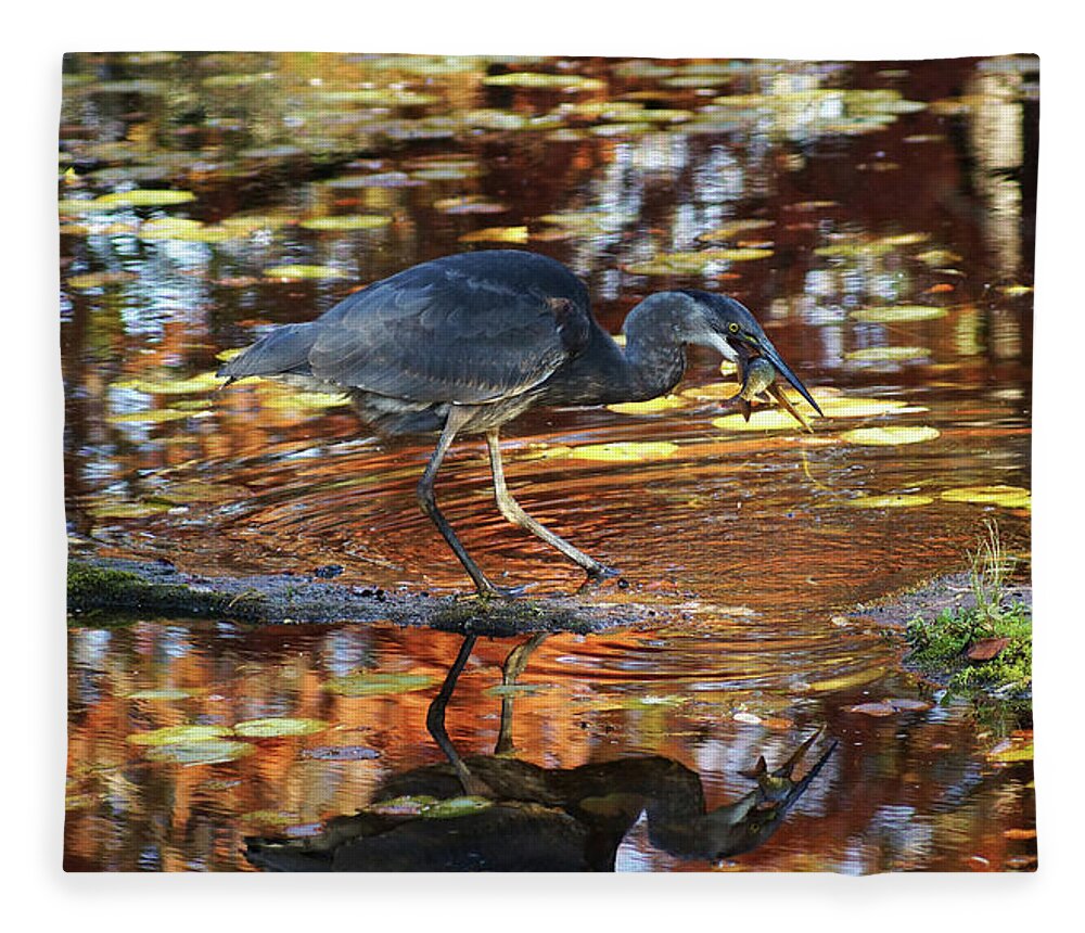 Heron Fleece Blanket featuring the photograph Dive and Dine II by Cameron Wood
