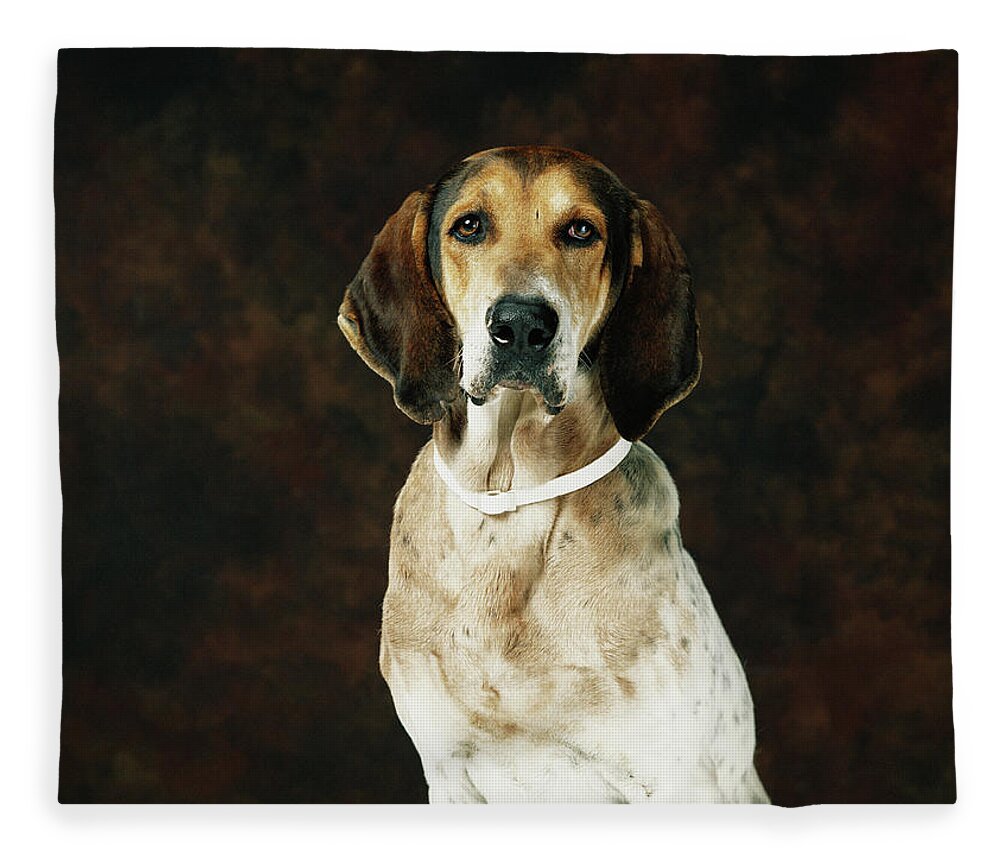 Pets Fleece Blanket featuring the photograph Dog Against Brown Background, Close-up by Tom Kelley Archive
