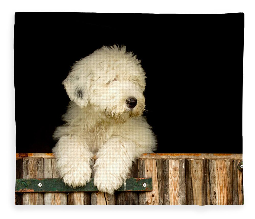 Pets Fleece Blanket featuring the photograph Dog Wags Its Tail With Its Heart by Dewollewei