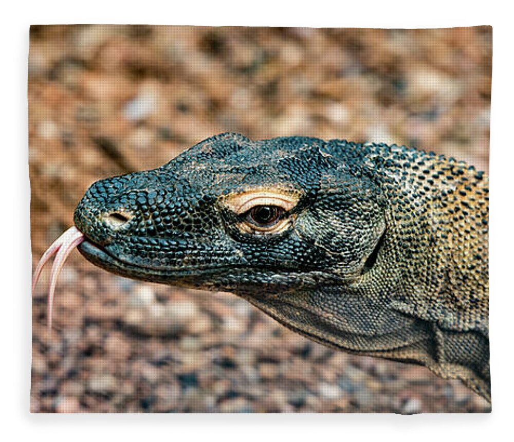 Dragon Fleece Blanket featuring the photograph Dragon with No Fire by Dheeraj Mutha