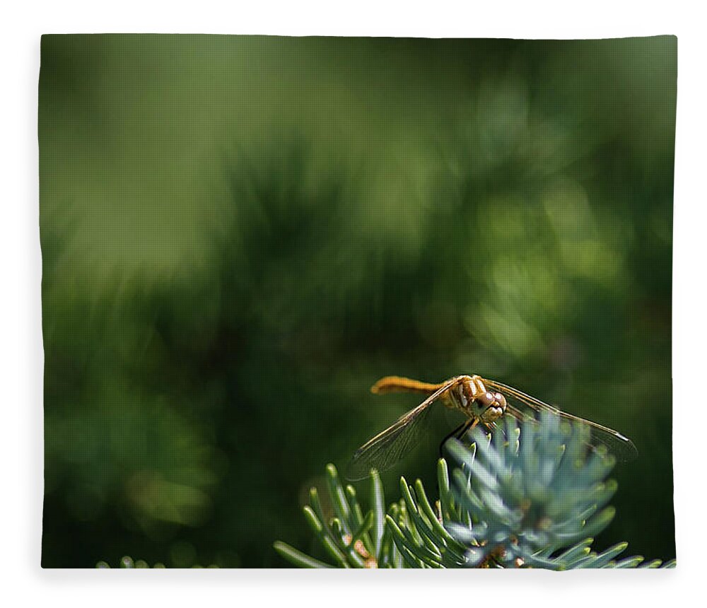 Macro Photography Fleece Blanket featuring the photograph Dragonfly by Julieta Belmont