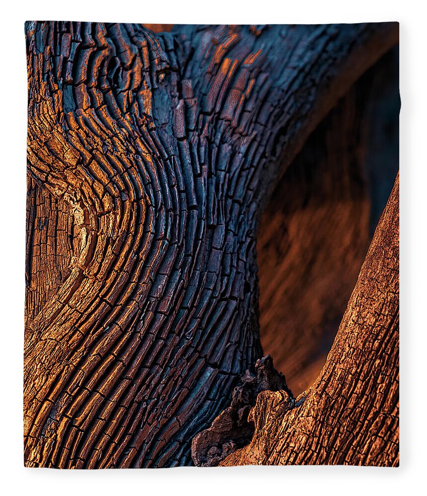 Abstract Fleece Blanket featuring the photograph Driftwood at Sunset by Robert FERD Frank