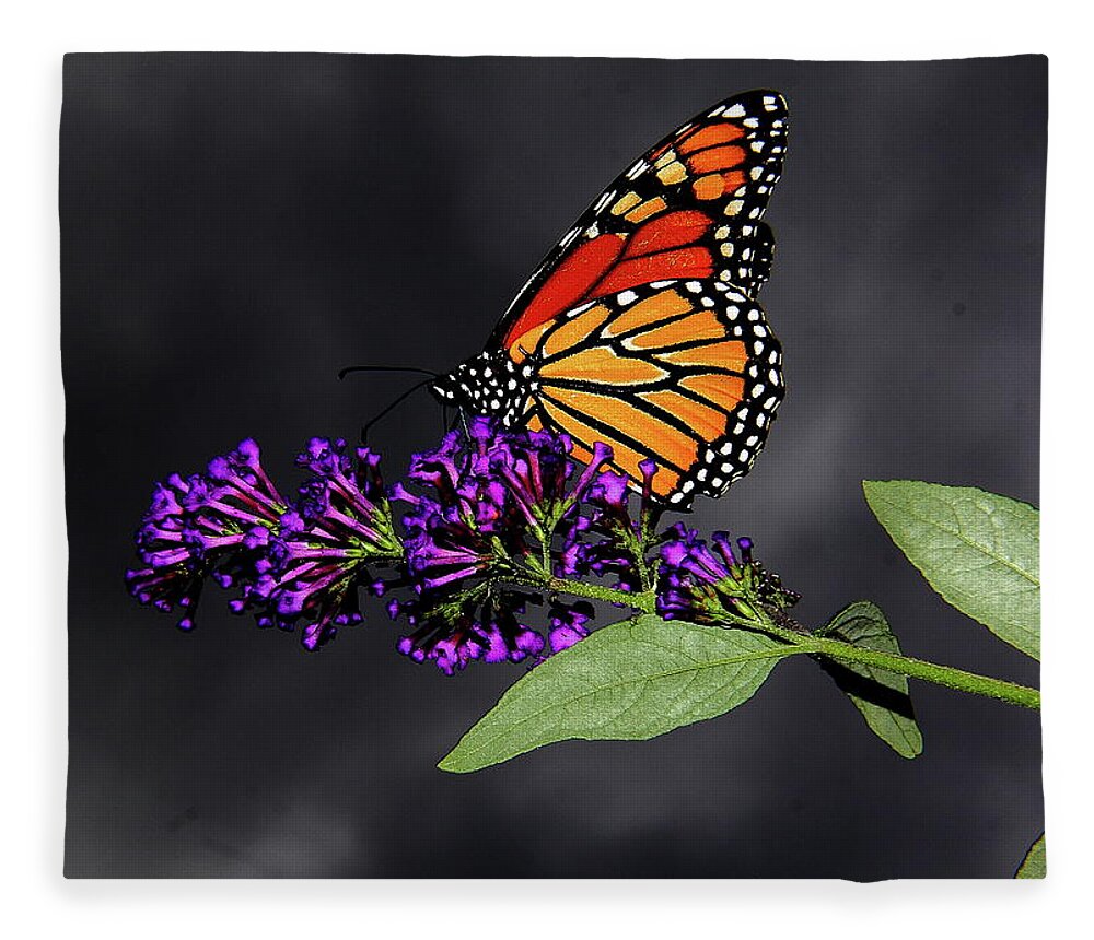  Butterfly Fleece Blanket featuring the photograph Drink Deeply of This Moment by Allen Nice-Webb
