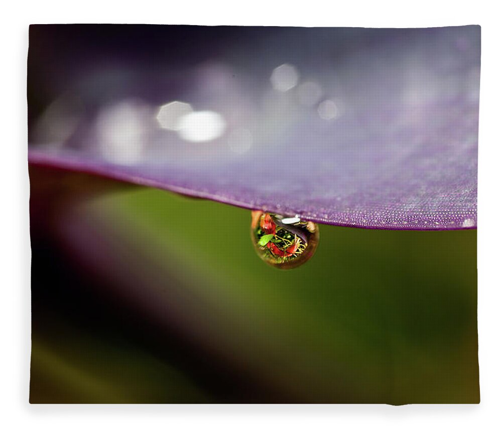 Outdoors Fleece Blanket featuring the photograph Drop Of Water by Pablo Reinsch Photography