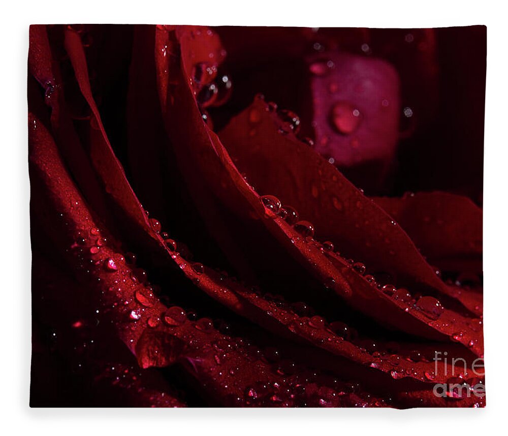 Rose Fleece Blanket featuring the photograph Droplets On The Edge by Mike Eingle