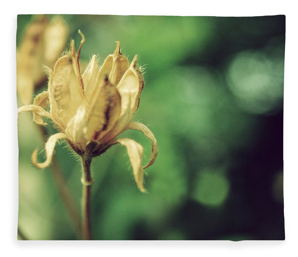 Copenhagen Fleece Blanket featuring the photograph Dry Flower by Julia Davila-lampe