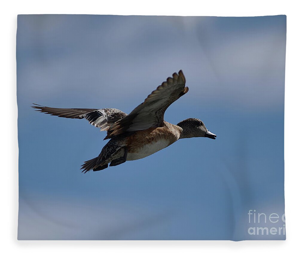 Ducks Fleece Blanket featuring the photograph Duck Blue Sky by Robert WK Clark