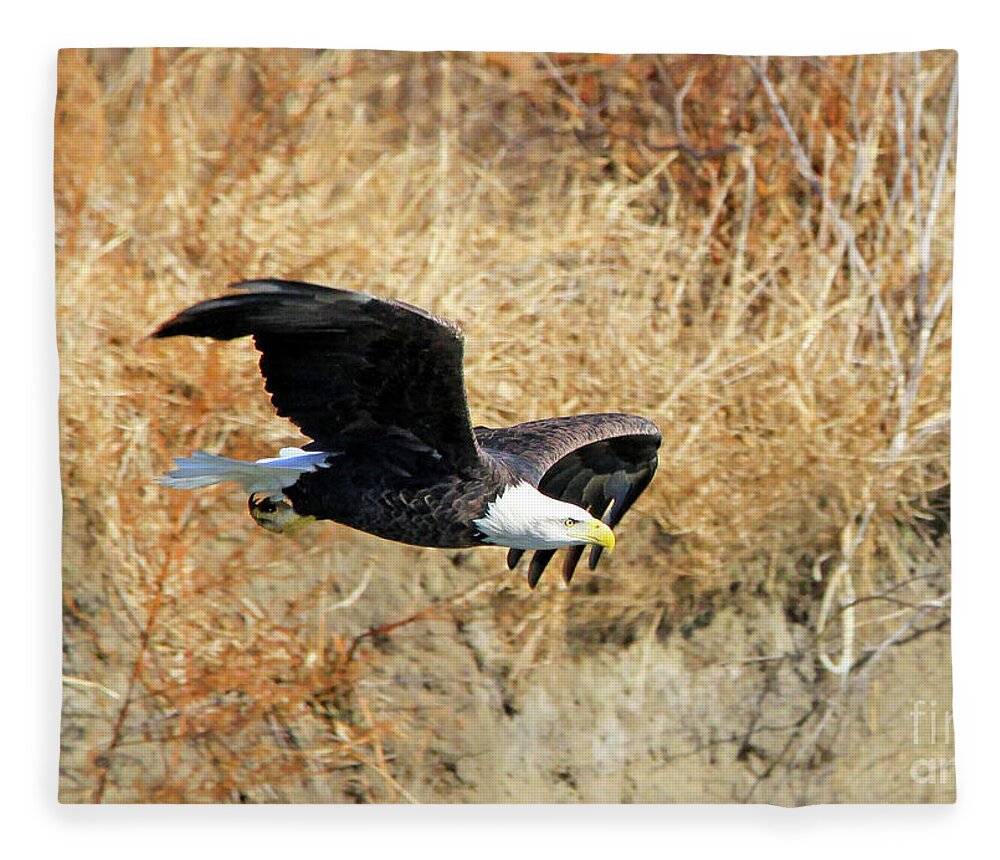 Bald Eagle Fleece Blanket featuring the photograph Eagle in Flight by Paula Guttilla
