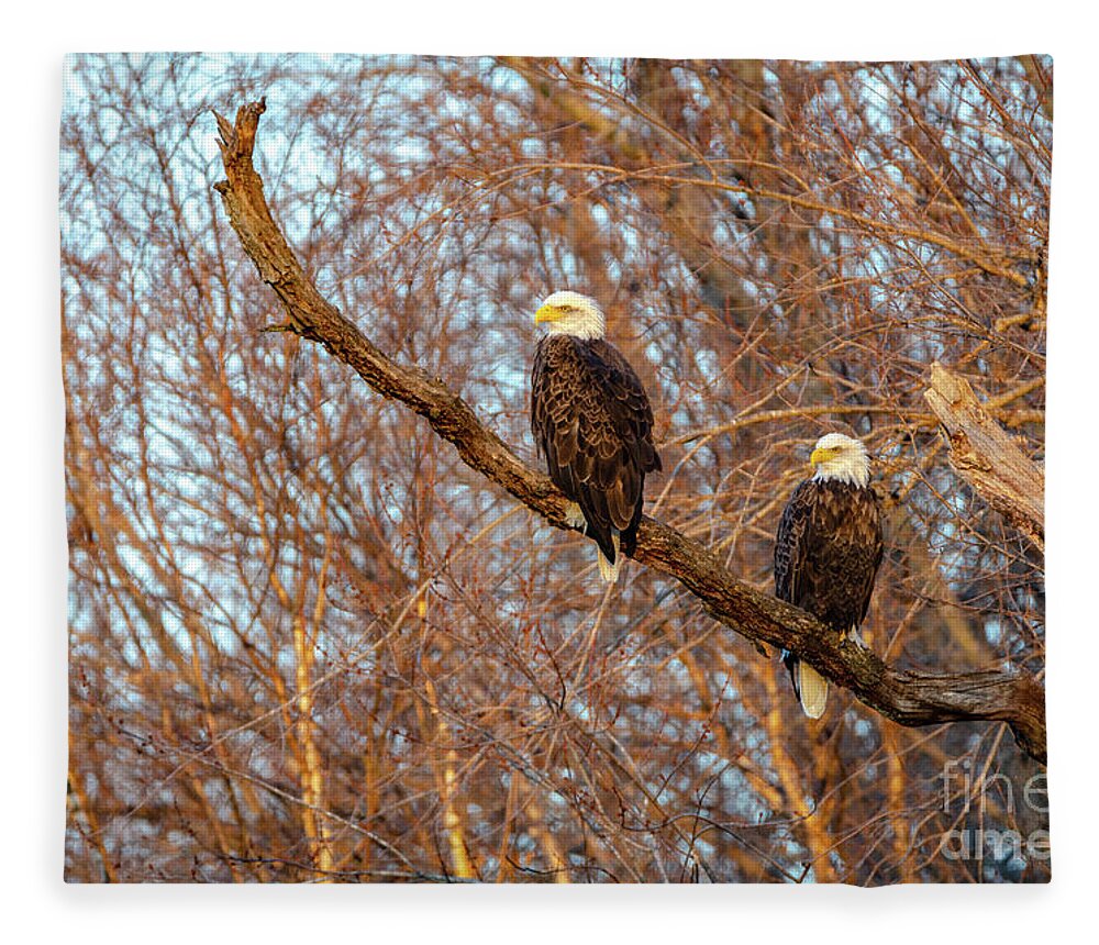 2018 Fleece Blanket featuring the photograph Eagles Watching the Sunset by Wild Fotos