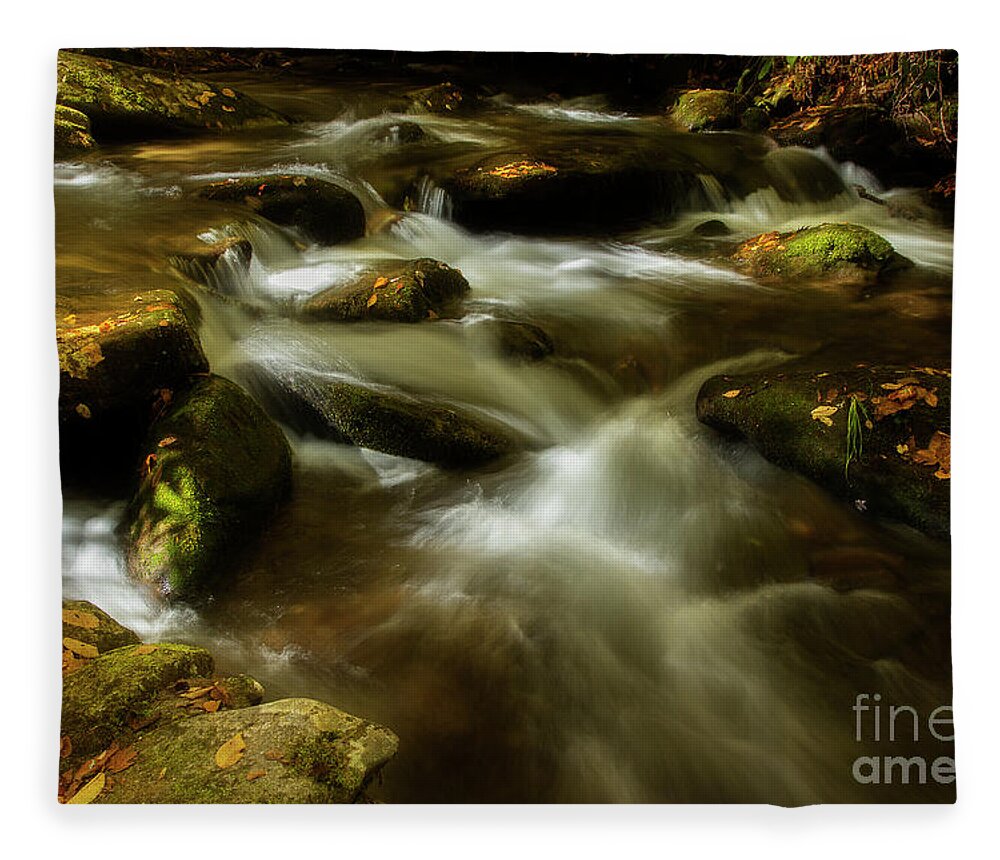 Fall Fleece Blanket featuring the photograph Early Autumn Light by Mike Eingle
