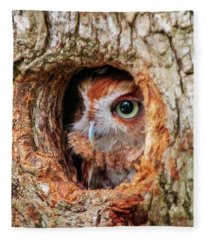 Birds Fleece Blanket featuring the photograph Eastern Screech Owl by Louis Dallara