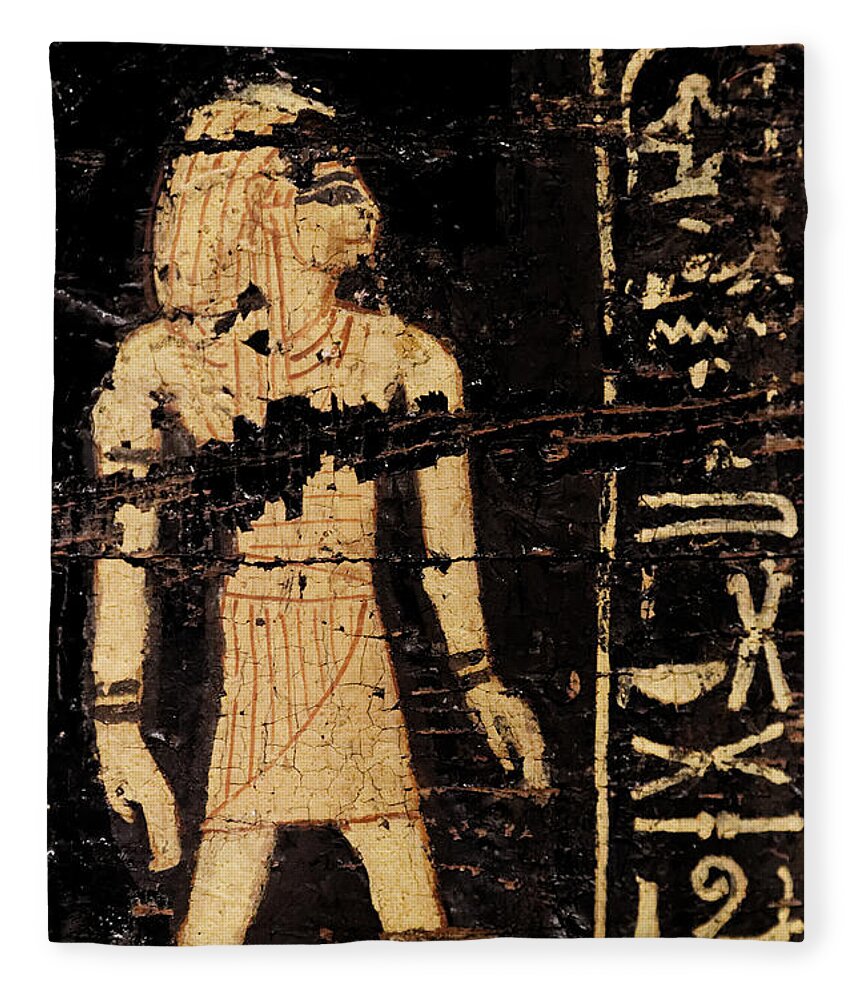 Egypt Fleece Blanket featuring the photograph Egyptian Immortal Art by Sue Harper