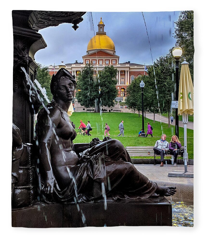Boston Fleece Blanket featuring the photograph Elegance by Christopher Brown