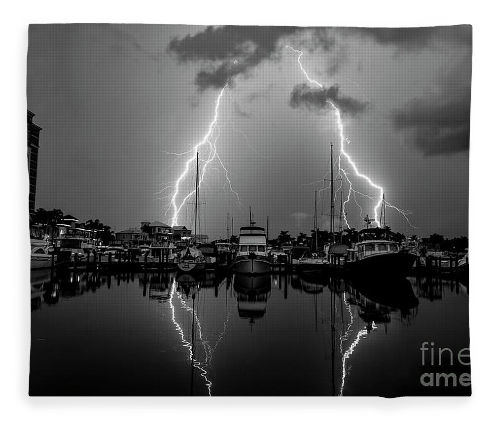 Black And White Fleece Blanket featuring the photograph Elegance in Black and White by Quinn Sedam