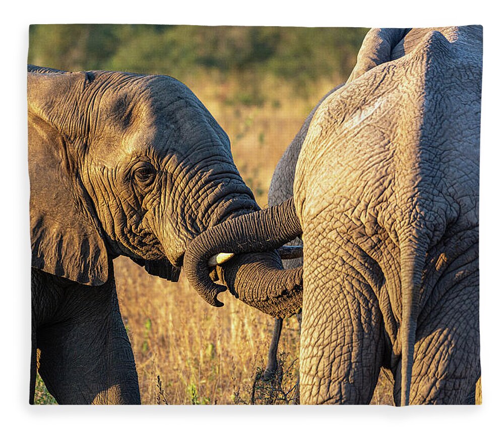 Kruger Fleece Blanket featuring the photograph Elephant Affection by Douglas Wielfaert