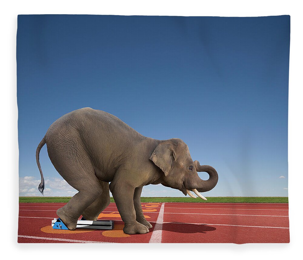 Elephant In The Starting Blocks Fleece Blanket by John Lund 
