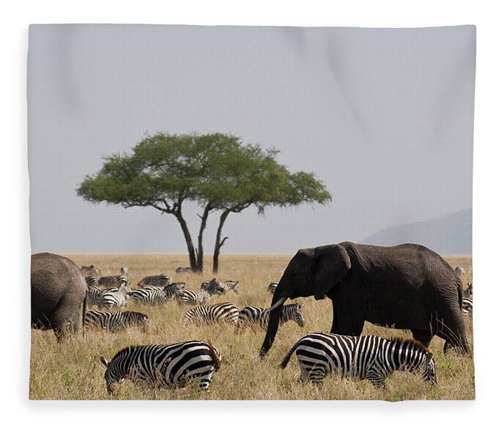 Grass Fleece Blanket featuring the photograph Elephants And Zebra In The Serengeti by Wldavies