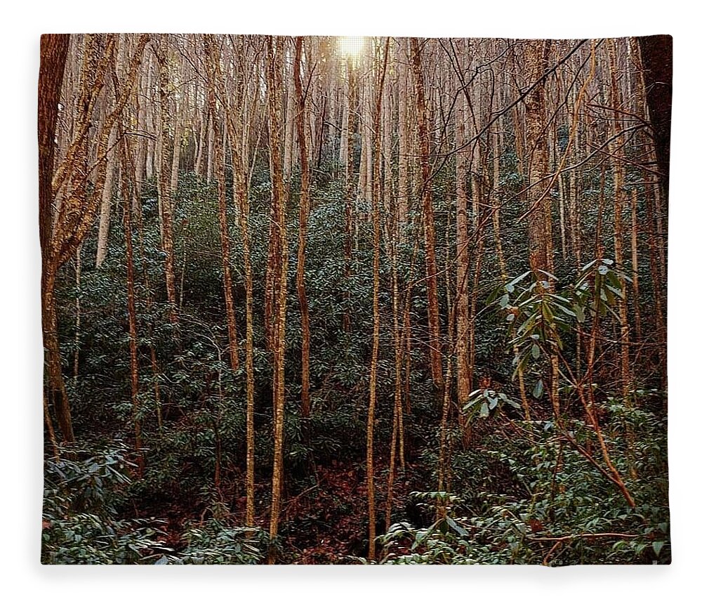 Forest Fleece Blanket featuring the photograph Enchanted Forest by Anita Adams