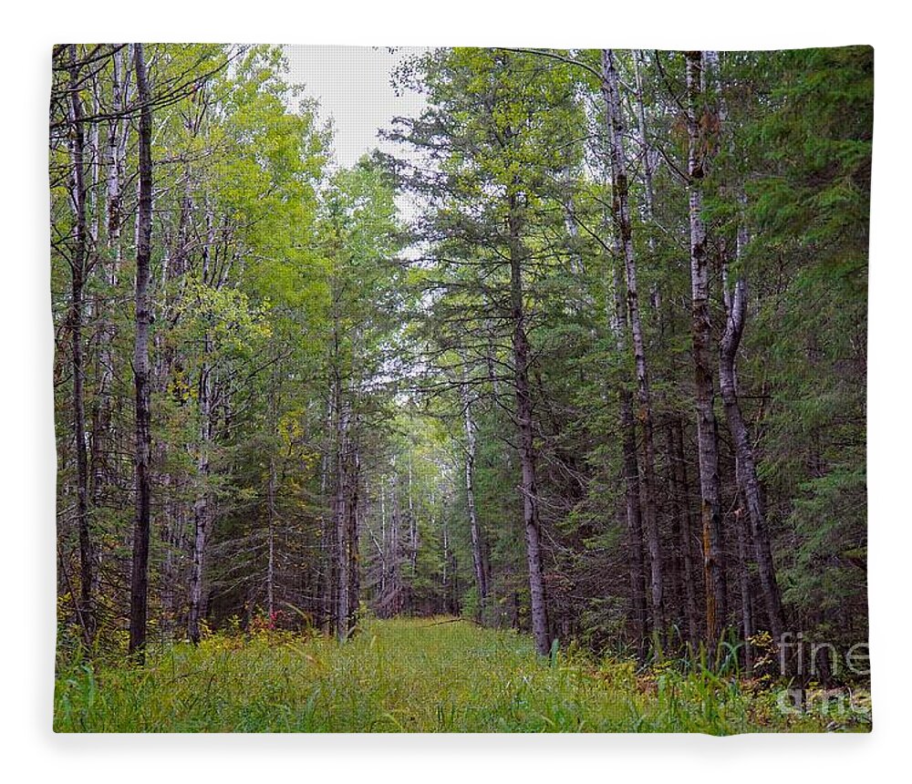 Woods Fleece Blanket featuring the photograph Enchanted Forest by Susan Rydberg