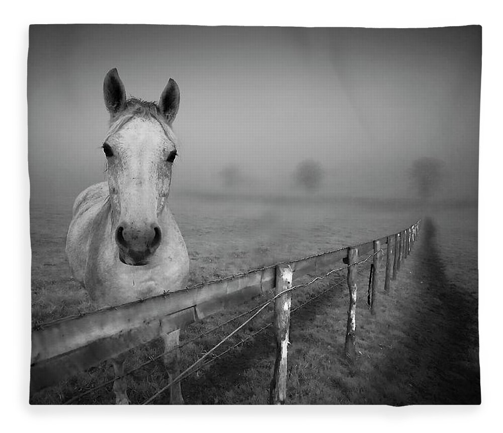 Horse Fleece Blanket featuring the photograph Equine Fog by Taken With Passion