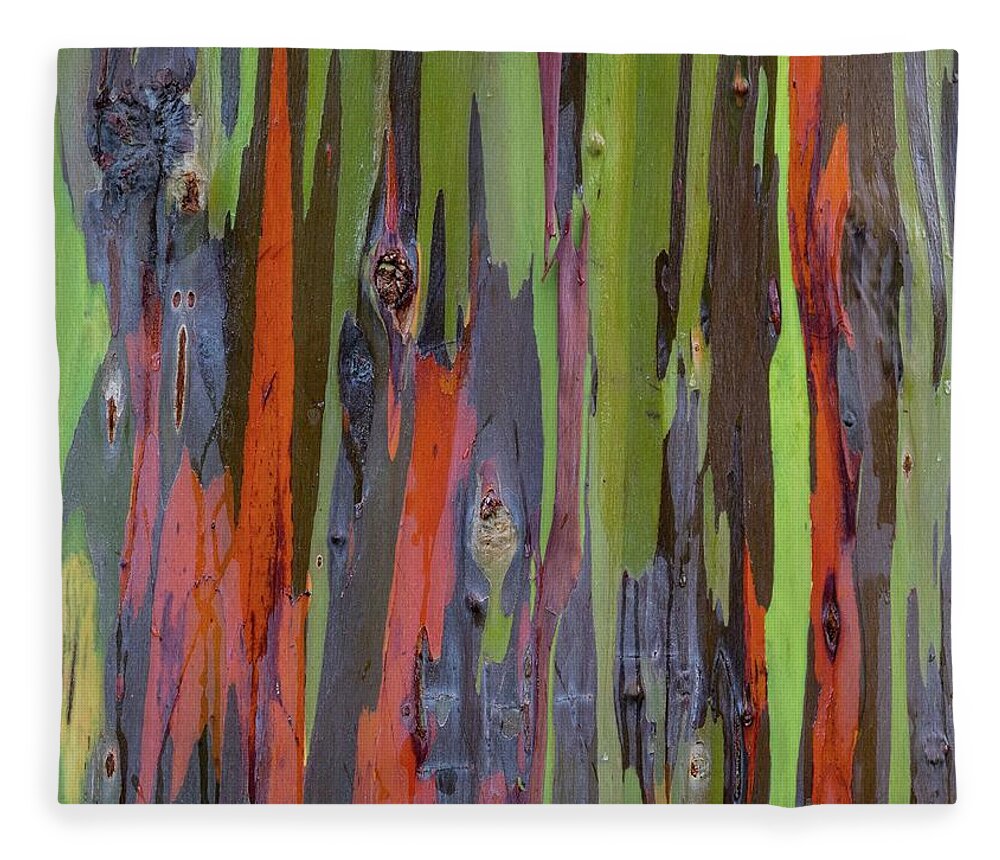 Rainbow Fleece Blanket featuring the photograph Eucalyptus Tree Bark by Doug Davidson