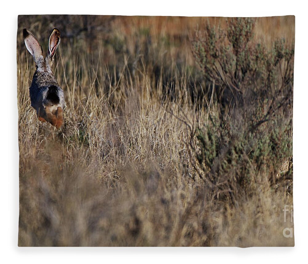 Desert Rabbit Fleece Blanket featuring the photograph Evasion by Robert WK Clark