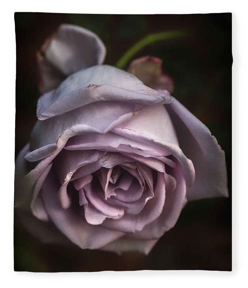 Flower Fleece Blanket featuring the photograph Fading Bloom by Laura Roberts