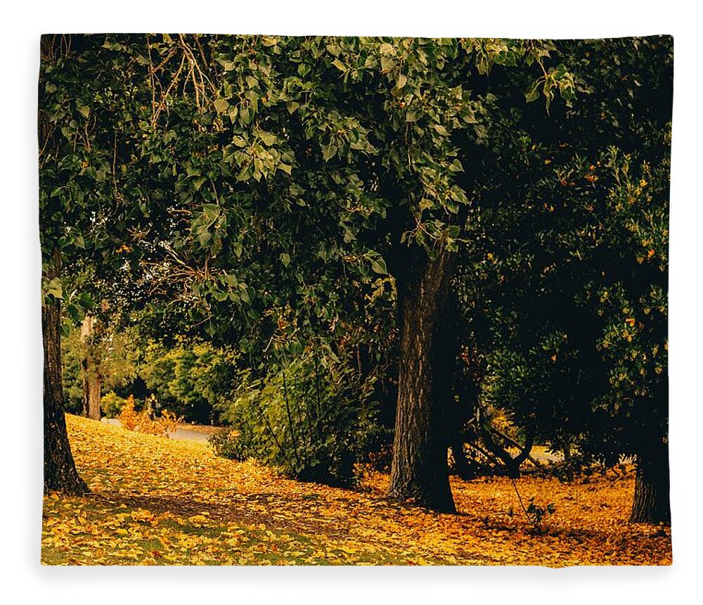 Fall Fleece Blanket featuring the photograph Fall by Anamar Pictures