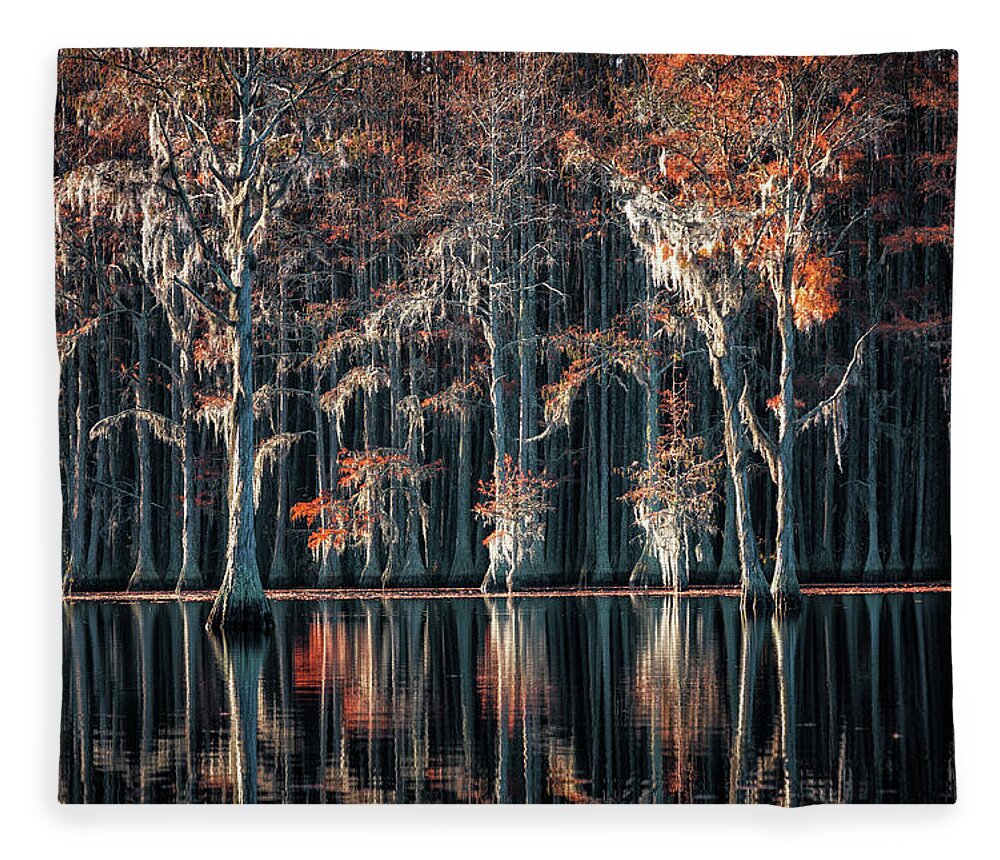 Abstract Fleece Blanket featuring the photograph Fall colors at the Cypress Lake by Alex Mironyuk