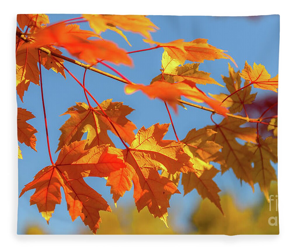 Love Fleece Blanket featuring the photograph Fall Foliage by Dheeraj Mutha
