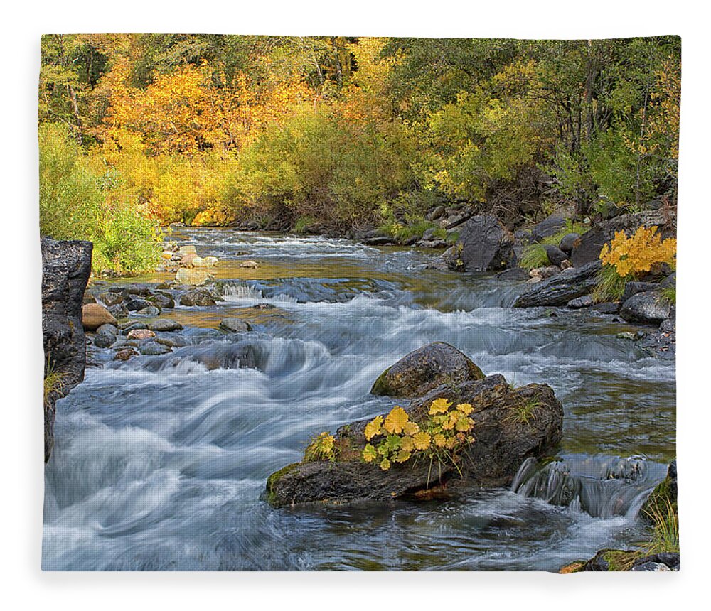 Yuba River Fleece Blanket featuring the photograph Fall on the Yuba by Tom Kelly