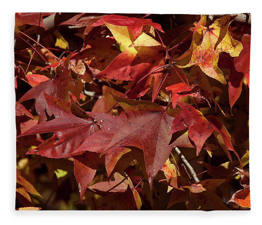 Sweetgum Family Fleece Blanket featuring the photograph Fall Sweetgum Leaves DF004 by Gerry Gantt