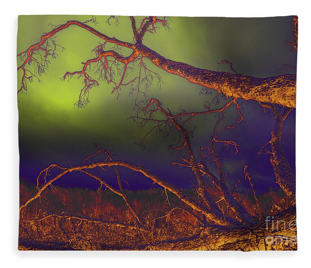 Tree Fleece Blanket featuring the photograph Fallen Tree by Mike Eingle