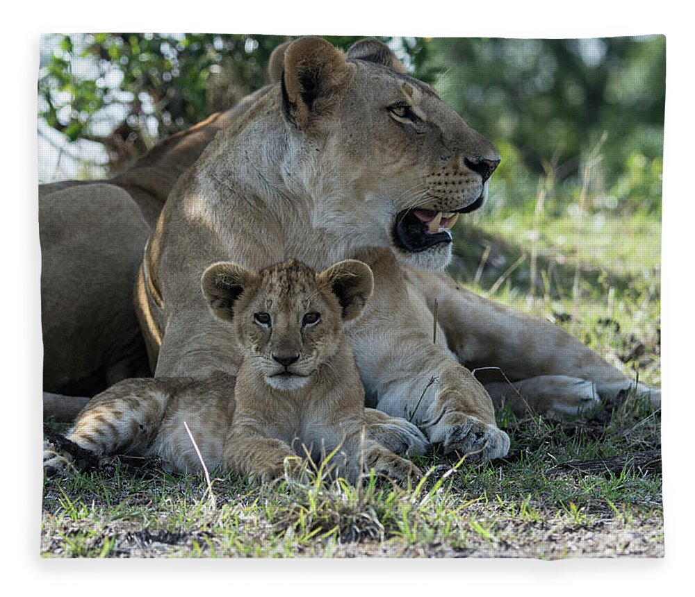 Lion Fleece Blanket featuring the photograph Family Time by Mark Hunter
