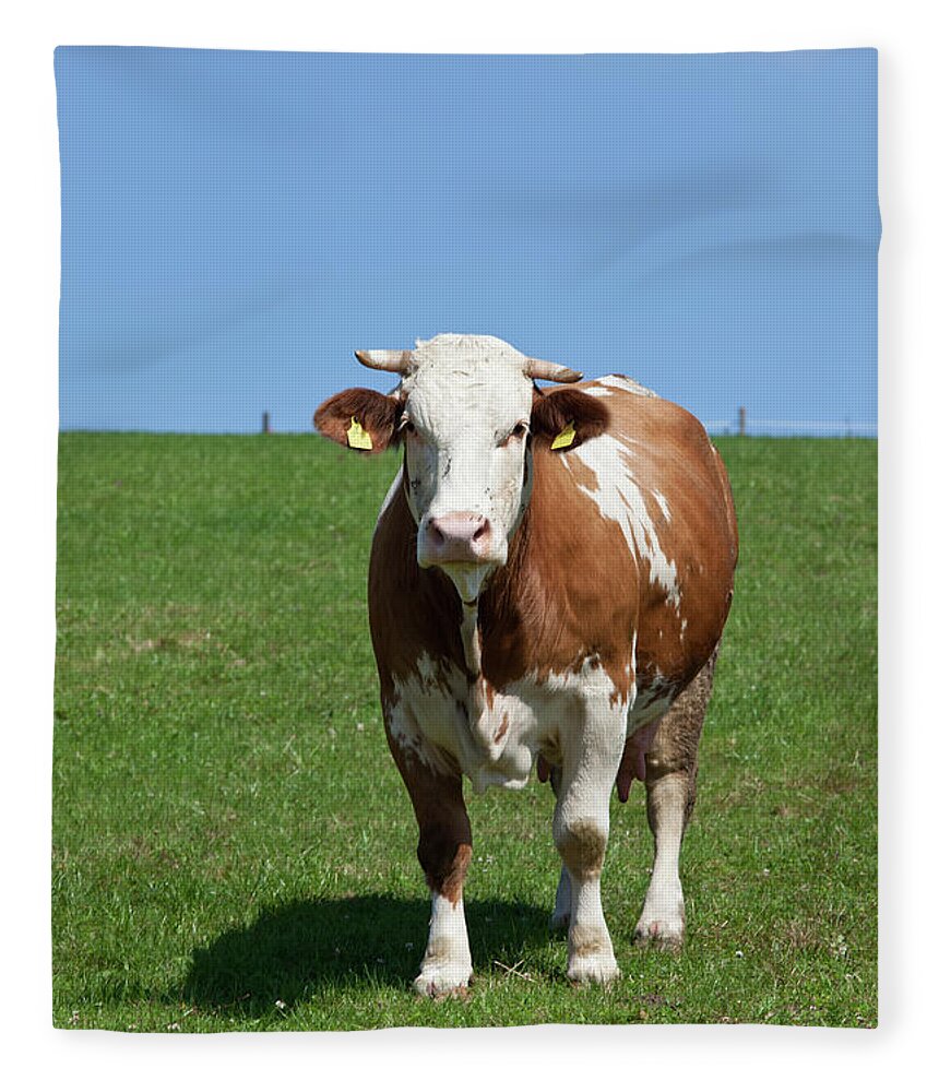Grass Fleece Blanket featuring the photograph Farm Animal by Bravo1954
