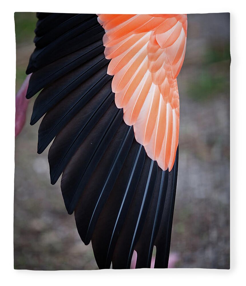 Feathers On Stretched Flamingo Wing Fleece Blanket by Photo By Elena  Tarassova 