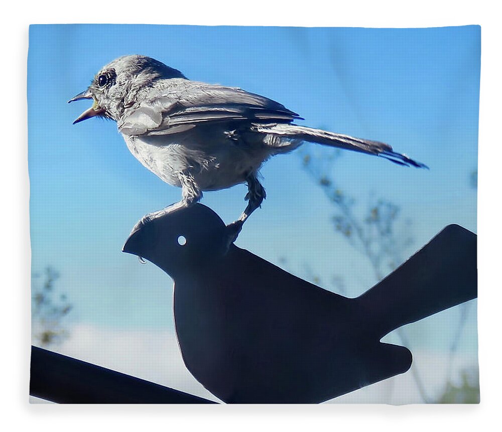 Arizona Fleece Blanket featuring the photograph Caption This by Judy Kennedy