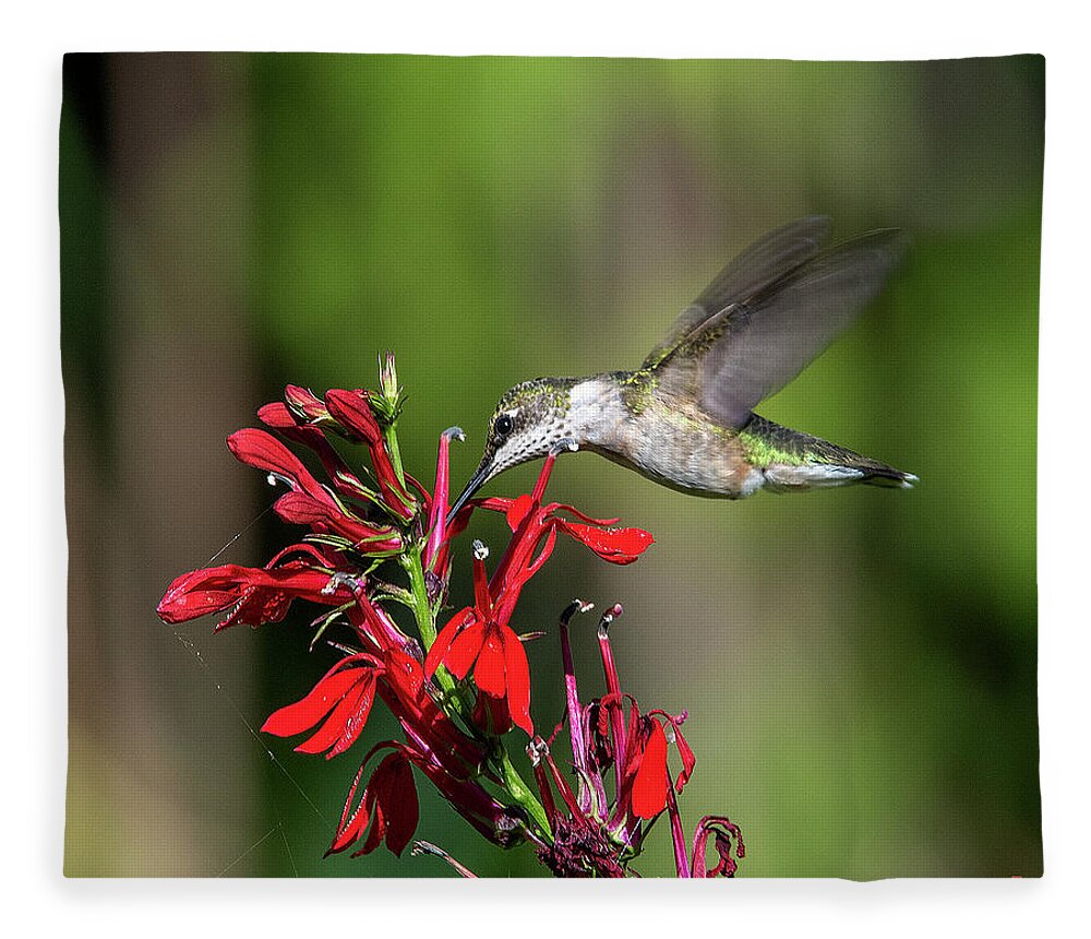 Nature Fleece Blanket featuring the photograph Female Ruby-throated Hummingbird DSB0319 by Gerry Gantt
