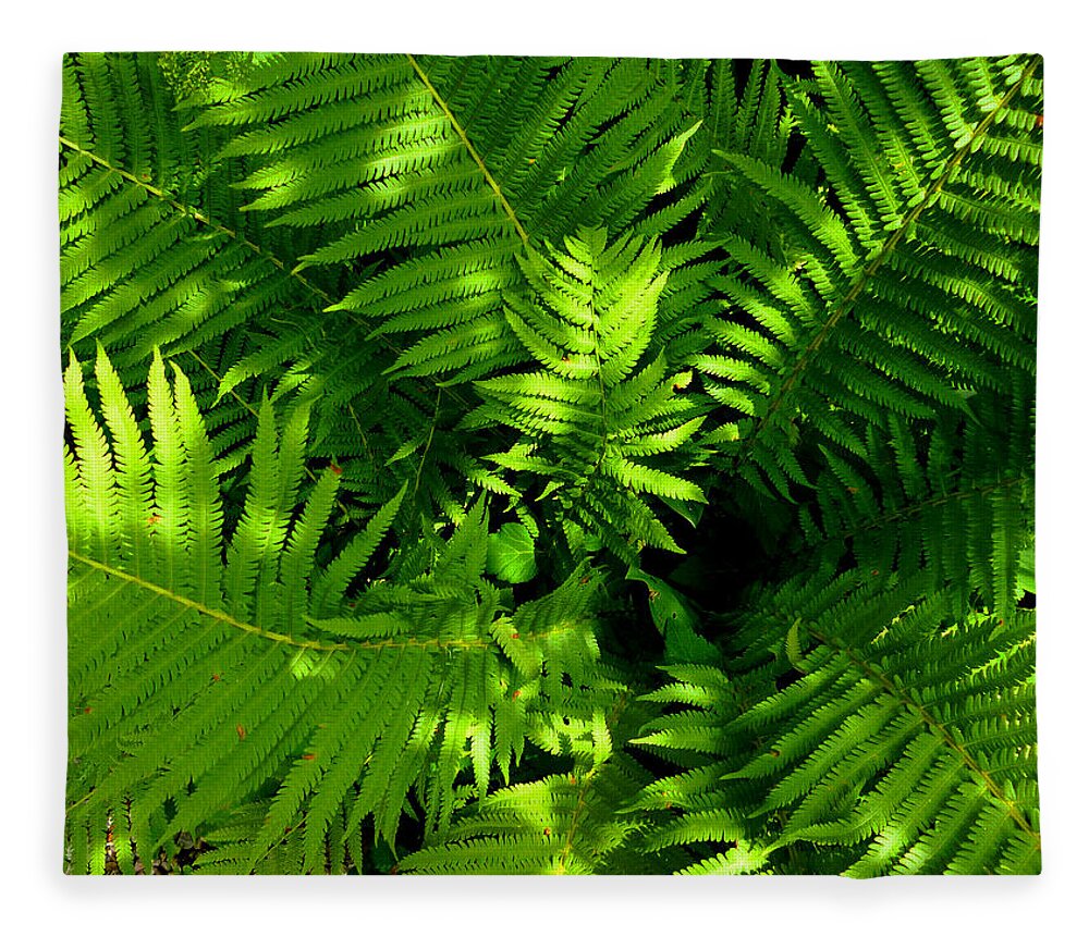 Green Fleece Blanket featuring the photograph Fern by Mike McBrayer