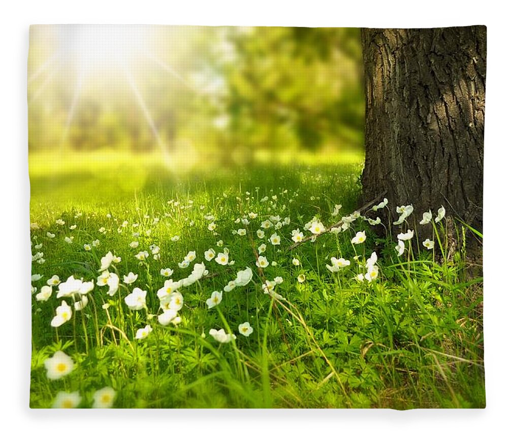 Flowers Fleece Blanket featuring the photograph Field of daisies by Top Wallpapers