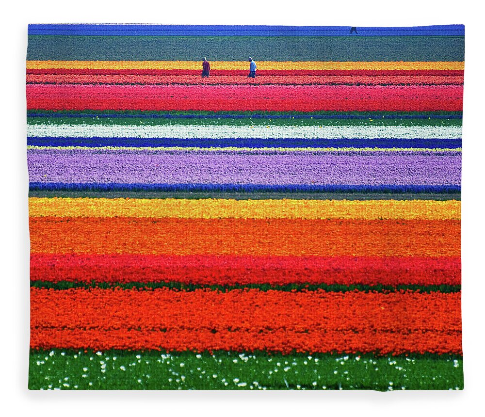 North Holland Fleece Blanket featuring the photograph Fields Of Gold by © Allard Schager
